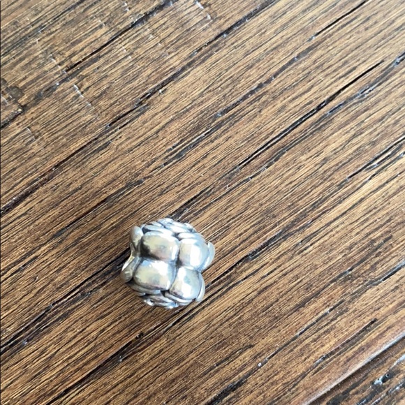 Pandora blooming rose - Picture 3 of 4